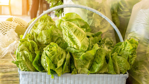 Organic green lettuce keep in a white plastic basket, salad vegetable in plastic bag on shelves