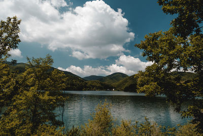 Scenic view of lake by trees against sky