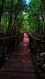 View of wooden footbridge in forest