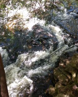 River flowing through rocks in forest