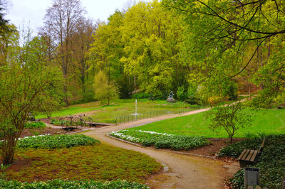 Footpath by trees in park