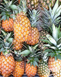 Close-up of fruits for sale at market stall