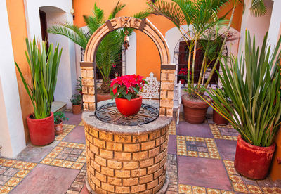 Potted plants in front of building