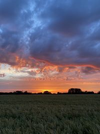 Scenic view of field against sky during sunset