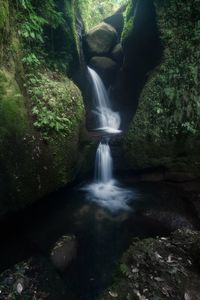 Scenic view of waterfall in forest