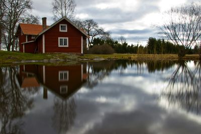 Reflection of trees in water