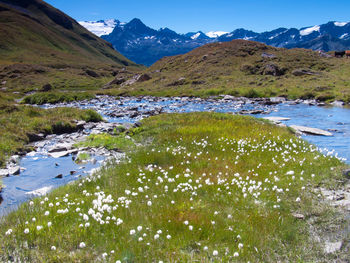 Stream flowing through a valley