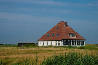 Schoorl, the netherlands. july 2021. dutch landscape with windmill and thatched roof.