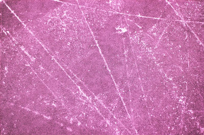 Close-up of pink petals