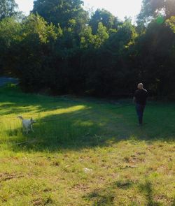 Rear view of man walking on grassy field