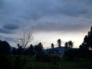 Silhouette trees on field against sky at sunset