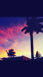 Silhouette palm trees against sky during sunset