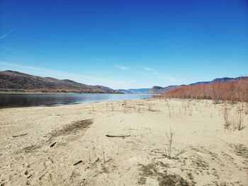 Scenic view of beach against clear blue sky