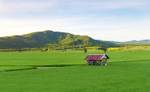 Scenic view of field and mountains against sky