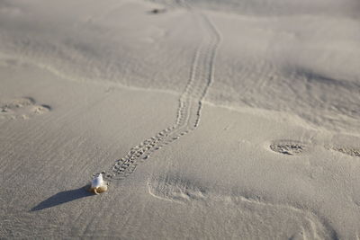 Tire tracks on sand