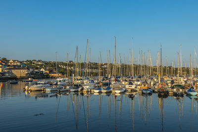 Sailboats moored in harbor
