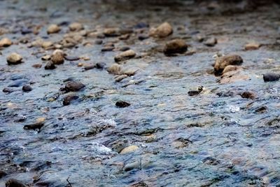 Full frame shot of rocks on beach