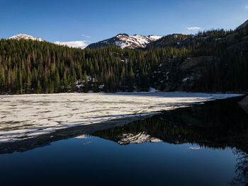 Mirror reflection of mountains and trees in bear lake, rocky mountain national park