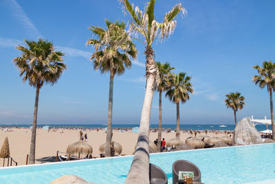 Palm trees by swimming pool against sky