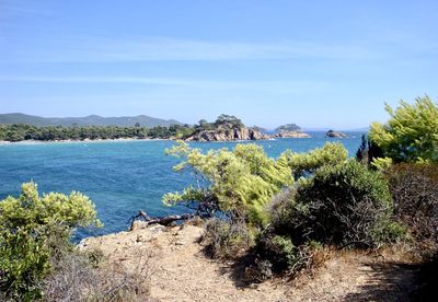 Scenic view of the sea with rocks and trees against sky