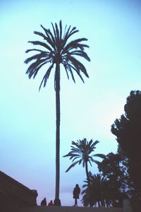 Low angle view of silhouette palm trees against clear sky