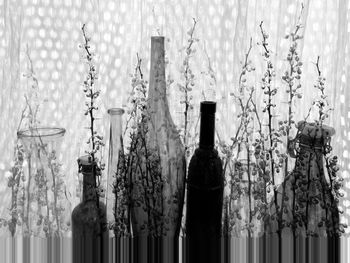 Close-up of wine glass bottles on wall