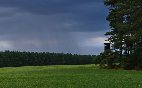 Scenic view of field against sky