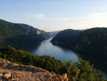 Scenic view of river amidst trees in forest against sky