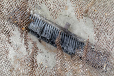 High angle view of food on rug