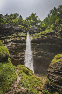 Scenic view of waterfall in forest