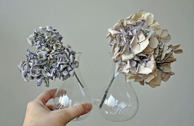 Cropped hand holding hydrangea vase against wall