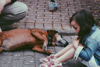 Young woman playing with dog