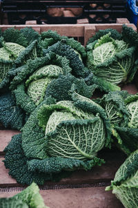 High angle view of vegetables for sale
