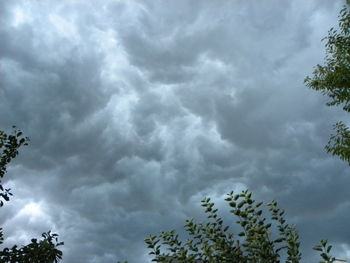 Low angle view of trees against cloudy sky