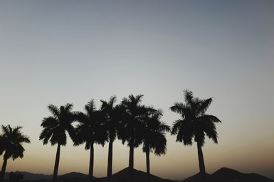 Silhouette palm trees against sky during sunset