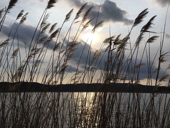 Scenic view of sunset over lake