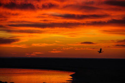 Silhouette bird flying over sea against sky at dusk
