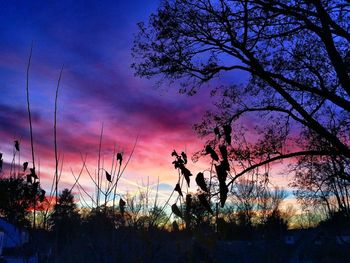 Low angle view of silhouette trees against sky during sunset