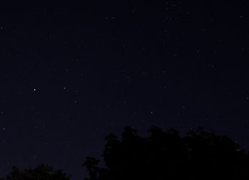 Low angle view of silhouette trees against sky at night