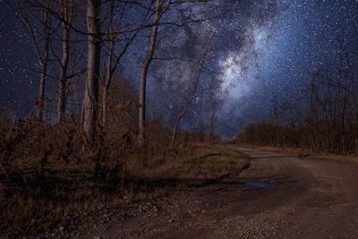 Road amidst trees in forest against sky at night