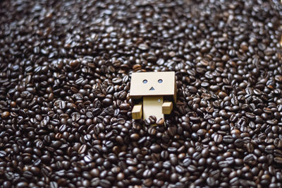 Dan board on coffee beans