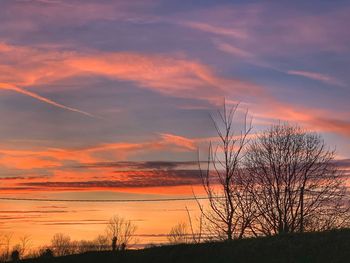 Silhouette bare trees on landscape against romantic sky at sunset