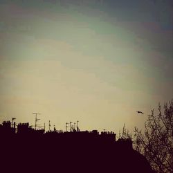 Silhouette trees at sunset