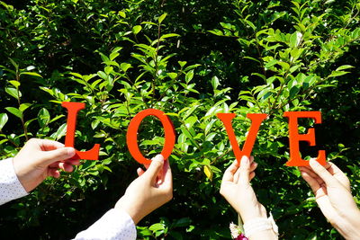 Close-up of woman hand holding text