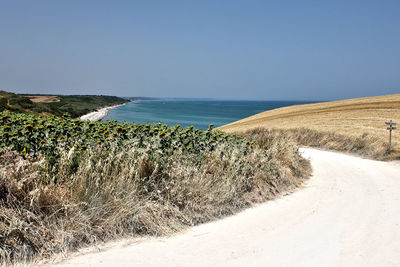 Dirt road leading towards beach against clear sky on sunny day