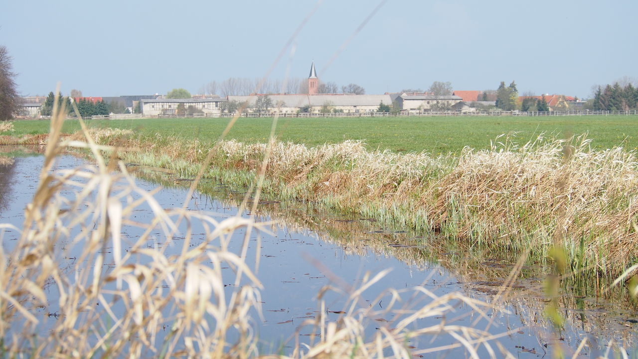 Village in the background