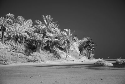 Scenic view of sea against sky at night