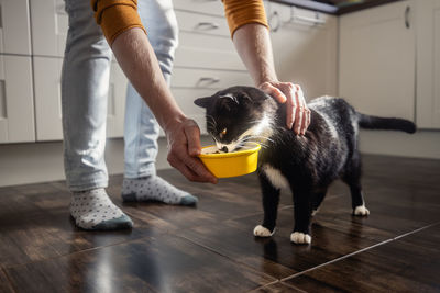 Low section of woman with dogs on floor