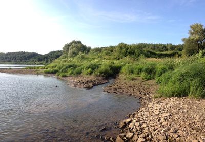 Scenic view of river against sky