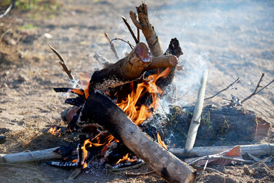 Close-up of campfire